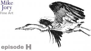 Ten minute heron drawing - episode H - animal alphabet challenge